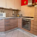 Rent 1 bedroom apartment of 35 m² in Roma