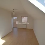 Rent 1 bedroom house in Chýnice