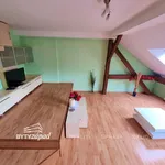 Rent 1 bedroom apartment of 48 m² in Plzeň