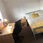 Rent 1 bedroom flat in Sheffield