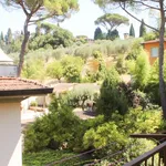 Rent 2 bedroom apartment in Florence