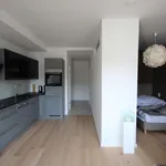 Rent 1 bedroom apartment of 40 m² in Dusseldorf