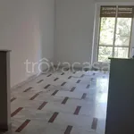 Rent 3 bedroom apartment of 92 m² in Viterbo