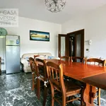 Rent 1 bedroom apartment of 22 m² in treviso