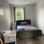 Rent 1 bedroom apartment of 60 m² in Kiel