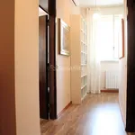 Rent 3 bedroom apartment of 115 m² in Cinisello Balsamo