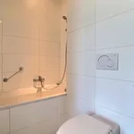 Rent 3 bedroom apartment in Ixelles