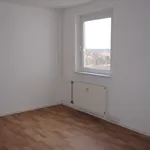 Rent 2 bedroom apartment of 65 m² in Leipzig