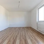 Rent 3 bedroom apartment in Budapest