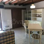 Rent 9 bedroom apartment of 250 m² in Orbetello