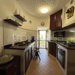 Rent 2 bedroom apartment of 50 m² in Nettuno