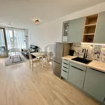 Rent 2 bedroom apartment of 45 m² in Wien