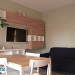 Bilocale arredato con terrazzo Centro