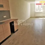 Rent 1 bedroom apartment in Chodov