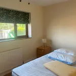 Rent 3 bedroom house in North Warwickshire