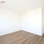 Rent 4 bedroom apartment of 81 m² in Trhový Štěpánov