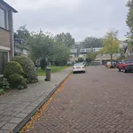 Huur 4 slaapkamer huis van 121 m² in Haarlem