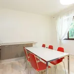 Rent a room of 110 m² in milan