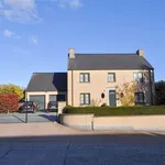 Rent 5 bedroom house in BIERGHES