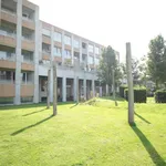 Rent 1 bedroom apartment of 71 m² in Groningen