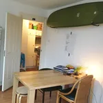 Huur 1 slaapkamer appartement van 45 m² in The Hague