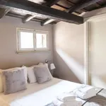 Rent 1 bedroom apartment in rome