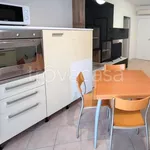 Rent 2 bedroom apartment of 55 m² in Padova