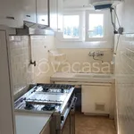 Rent 5 bedroom apartment of 125 m² in Modena