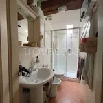 Rent 1 bedroom apartment of 25 m² in Firenze