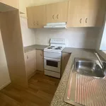 Rent 1 bedroom apartment in Windang