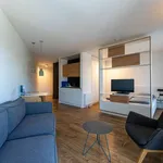 37 m² Studio in berlin