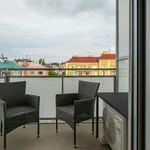 Rent 1 bedroom apartment in Olomouc