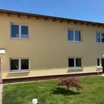 Rent 3 bedroom apartment of 80 m² in Halle (Saale)