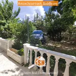 Ενοικίαση 1 υπνοδωμάτια διαμέρισμα από 90 m² σε Municipal Unit of Rio