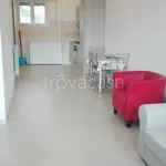 Rent 1 bedroom apartment of 48 m² in Santa Marinella