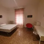 Rent 3 bedroom apartment of 100 m² in Roma