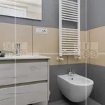 Rent 1 bedroom apartment of 60 m² in Roma