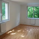 Rent 4 bedroom apartment in Praha 4