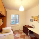 Habitación en madrid