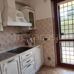 Rent 4 bedroom house of 160 m² in Roma