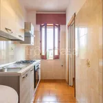 Rent 4 bedroom apartment of 140 m² in Taurianova