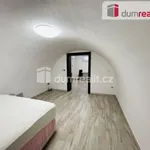 Rent 1 bedroom apartment of 30 m² in Mikulov