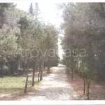 Rent 1 bedroom apartment of 100 m² in Pollica