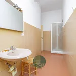 Rent 3 bedroom apartment of 90 m² in Milan