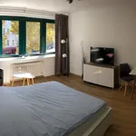 Rent 1 bedroom apartment of 30 m² in Cologne