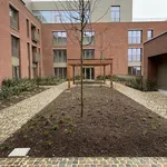 Rent 1 bedroom apartment in Hasselt