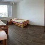 Rent 1 bedroom apartment in Náchod