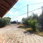 Rent 3 bedroom house of 60 m² in Paliano