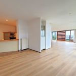 Rent 2 bedroom apartment of 130 m² in Eindhoven
