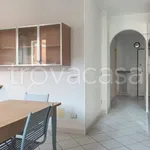 Rent 3 bedroom apartment of 70 m² in Ceriale